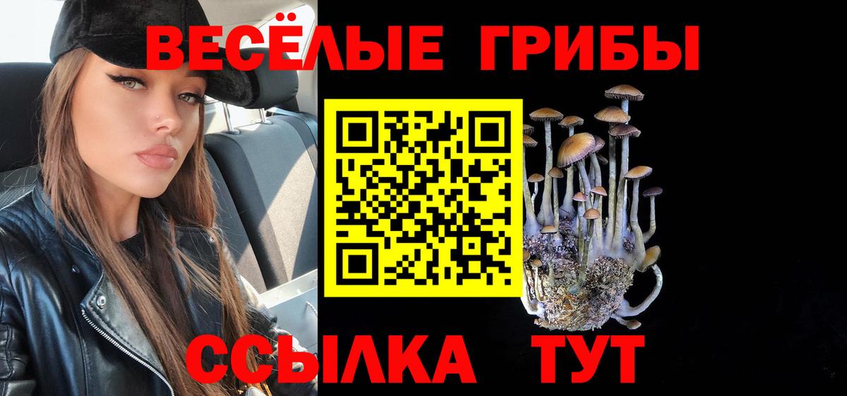 Галлюциногенные грибы Cubensis Богородицк