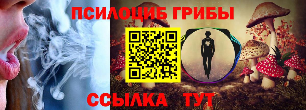 Экстази  Вход с VPN  Богородицк  Канабис  Меф МЯУ МЯУ   ГАШ  ГАШ  МЕТАМФЕТАМИН  Cocaine 