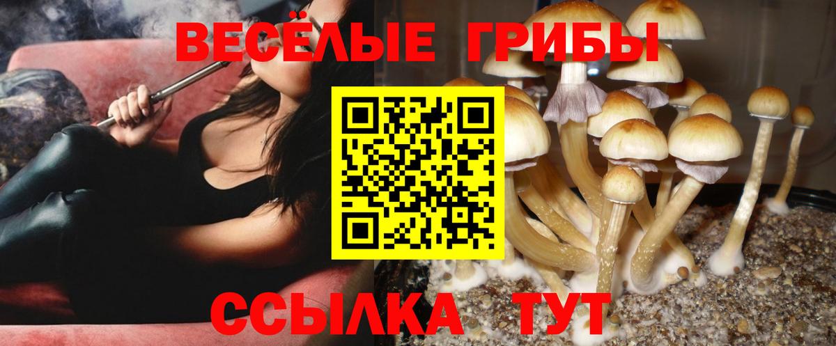 Галлюциногенные грибы MAGIC MUSHROOMS  Вход с VPN  Богородицк 